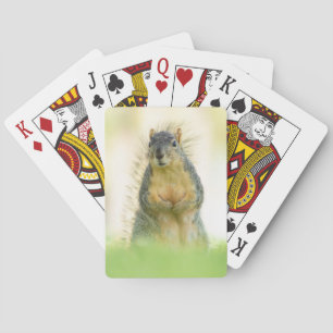 Jeu De Cartes Belles cartes de jeu d'écureuils