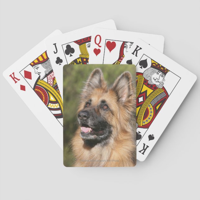 Jeu De Cartes Berger allemand aux cheveux longs 1 (dos)