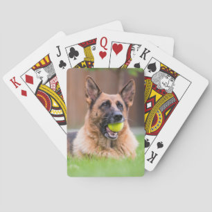 Jeu De Cartes Berger Allemand Avec Bal De Tennis