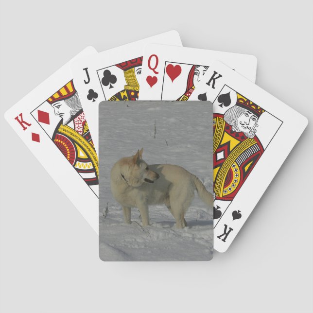 Jeu De Cartes Berger allemand blanc dans la neige (dos)
