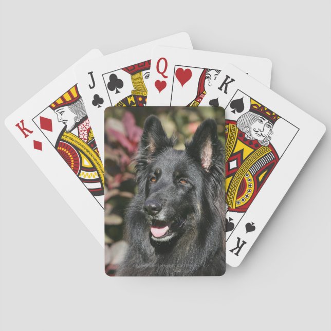 Jeu De Cartes Berger allemand de longue date noir (dos)