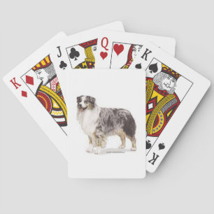 Jeu De Cartes Berger australien