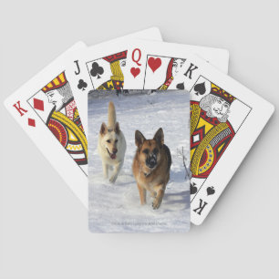 Jeu De Cartes Bergers allemands en courant dans la neige