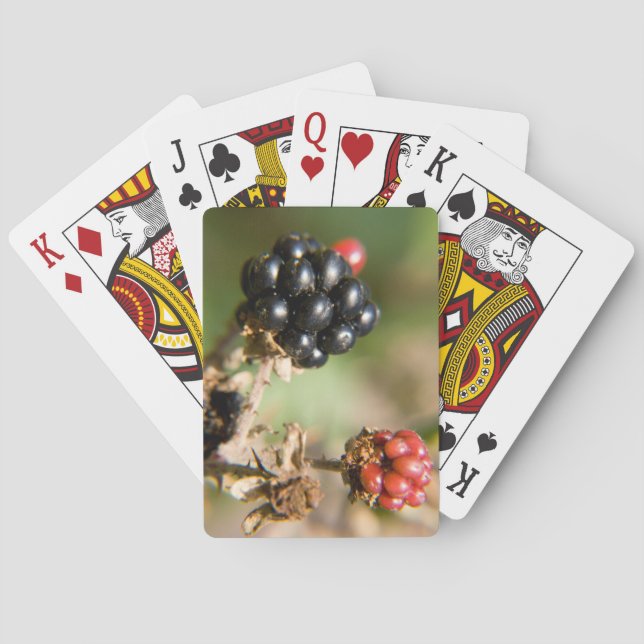 Jeu De Cartes Berries d'automne (dos)
