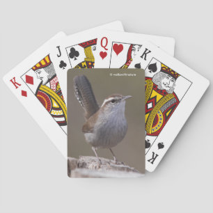 Jeu De Cartes Bewick's Wren Songbird sur Treestump