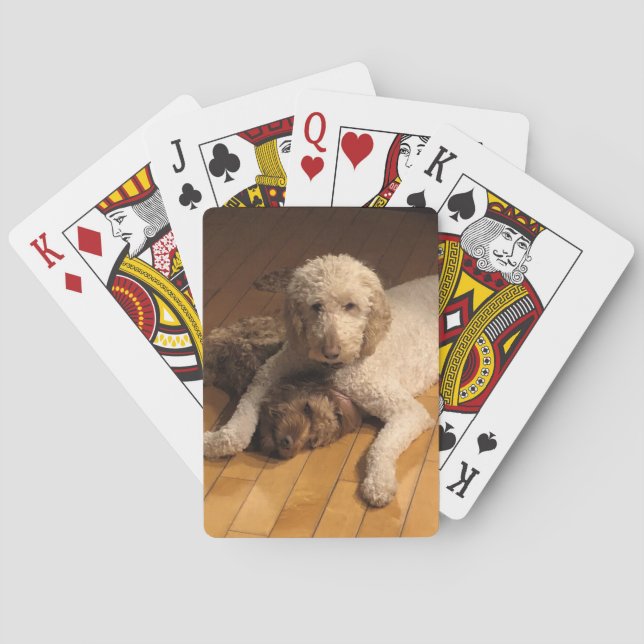 Jeu De Cartes BFF Goldendoodle (dos)