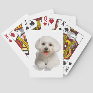 Jeu De Cartes Bichon Frise Puppy