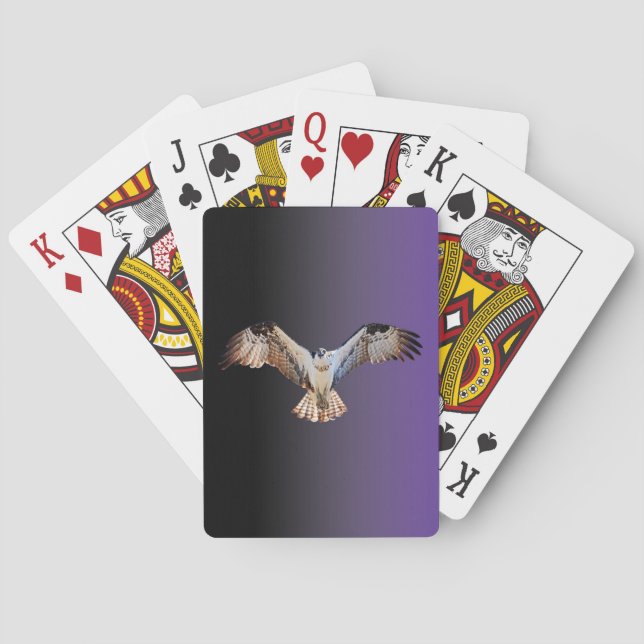 Jeu De Cartes Bicyclette Osprey Lecture Cartes (dos)