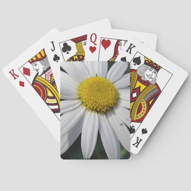 Jeu De Cartes Big Daisy (dos)