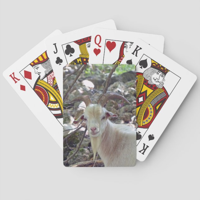 Jeu De Cartes Billy Goat (dos)