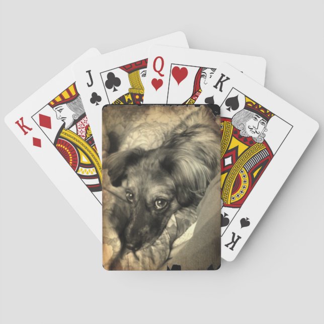 Jeu De Cartes Bisky on Deck (dos)