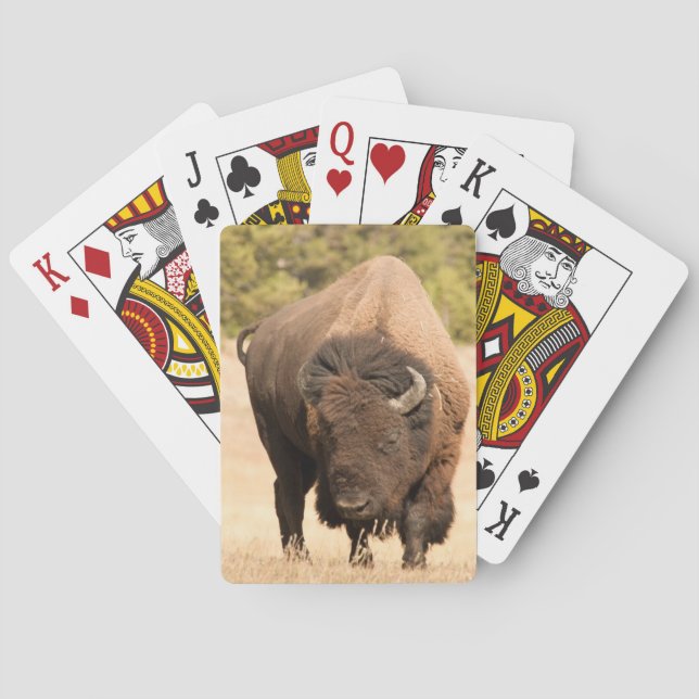 Jeu De Cartes Bison (dos)