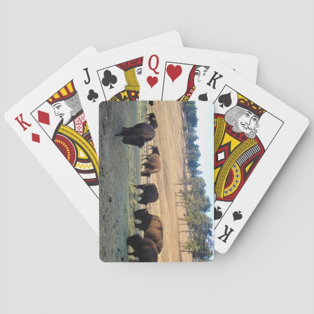 Jeu De Cartes Bison dans le Colorado (dos)