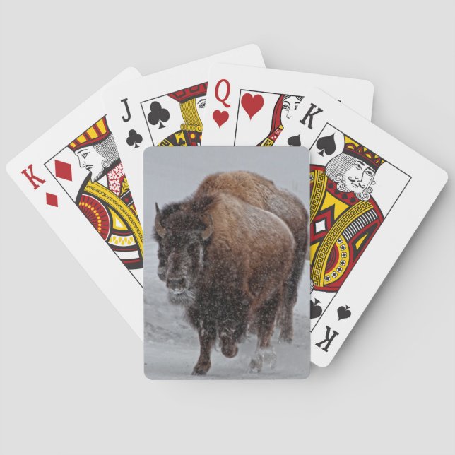 Jeu De Cartes Bison de Yellowstone (dos)
