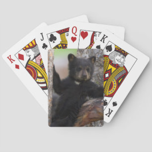 Jeu De Cartes Black Bears Cub Lounge