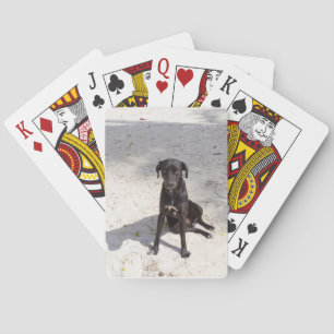 Jeu De Cartes Black dog avec evil eye