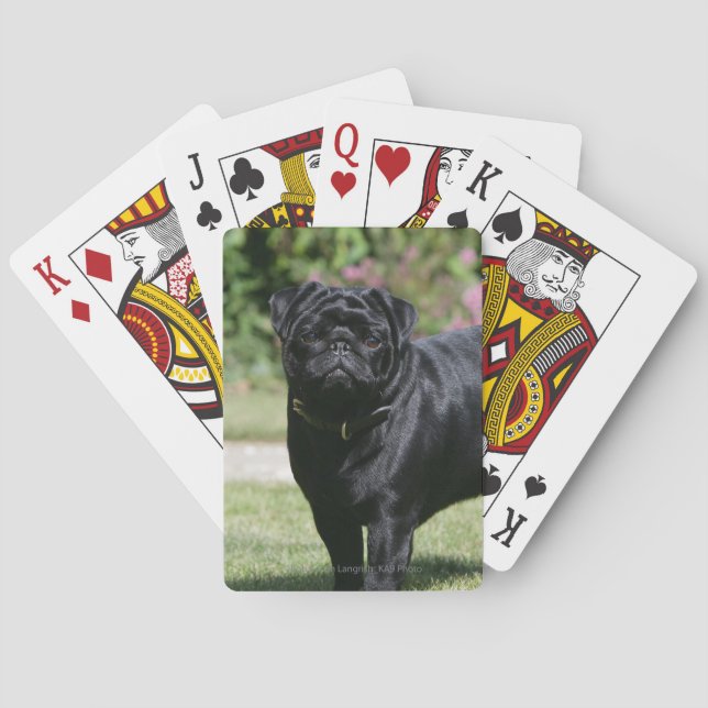 Jeu De Cartes Black Pug (dos)