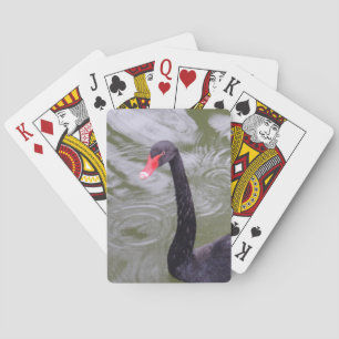 Jeu De Cartes Black Swan Bicycle® Poker Jouer Cartes