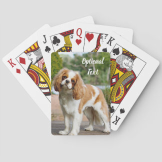 Jeu De Cartes Blenheim Cavalier King Charles Spaniel Chien