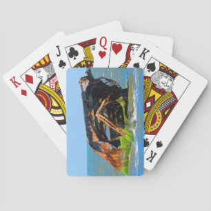 Jeu De Cartes Bleu Abstrait d'épave