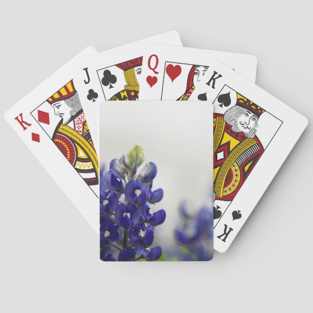 Jeu De Cartes bleu de bluebonnet (dos)