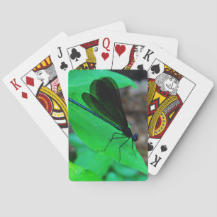 Jeu De Cartes Blue Damselfly on a green leaf.