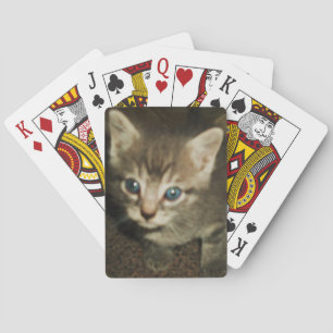 Jeu De Cartes BLUE EYED KITTY jouer aux cartes