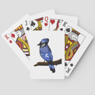 Jeu De Cartes Blue Jay Bird