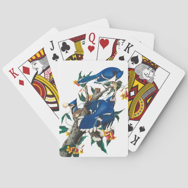 Jeu De Cartes Blue Jay par John James Audubon (dos)