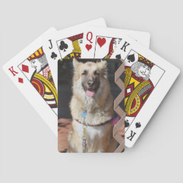 Jeu De Cartes Bon GSD