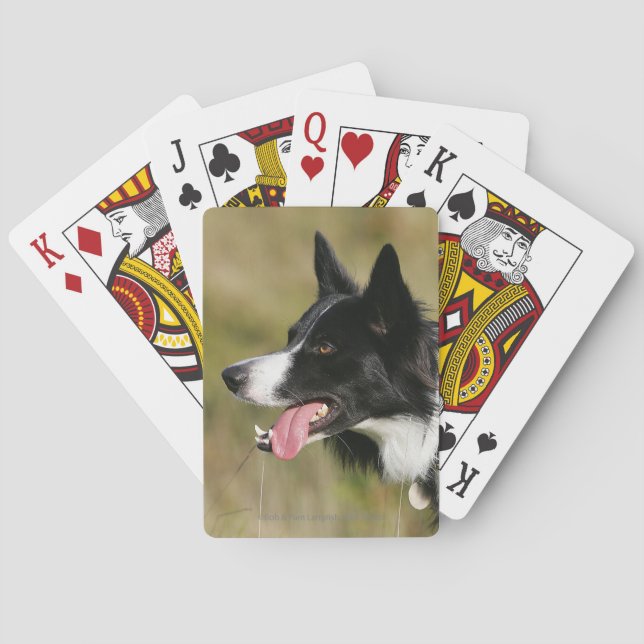 Jeu De Cartes Border Collie haletant tête 2 (dos)