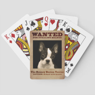 Jeu De Cartes Boston plein d'entrain Terrier