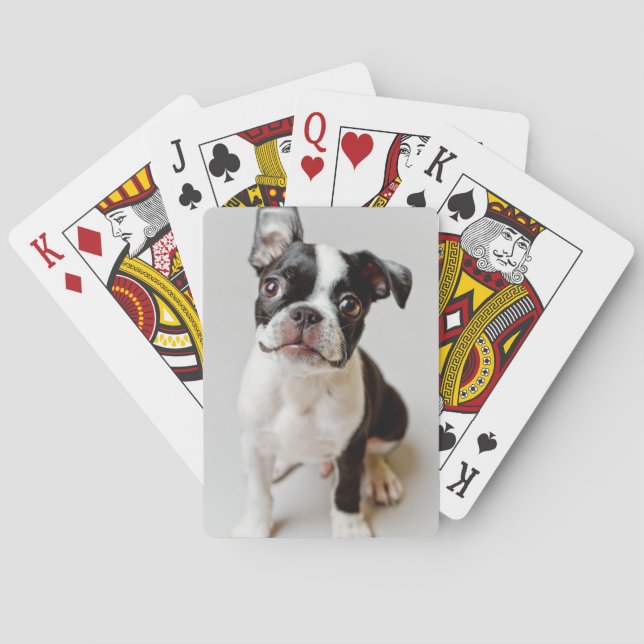 Jeu De Cartes Boston Terrier (dos)