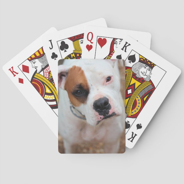 Jeu De Cartes Boucle (dos)