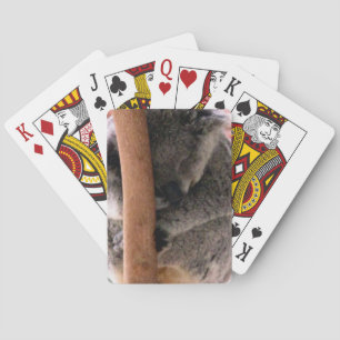 Jeu De Cartes boudins de koala