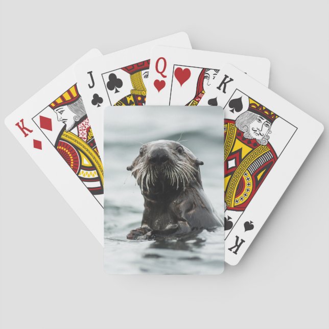 Jeu De Cartes Bouton (dos)