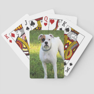 Jeu De Cartes Boxer