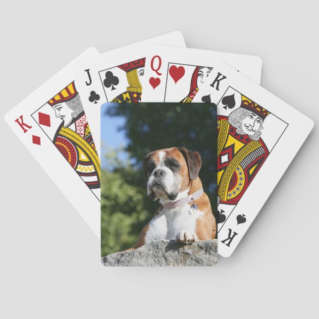 Jeu De Cartes Boxer Dog Laying on a Rock (dos)