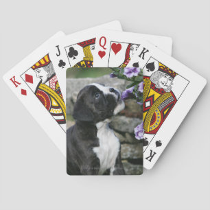 Jeu De Cartes Boxer Dog Panting