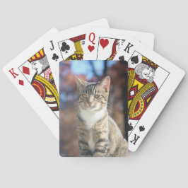 Jeu De Cartes Brin