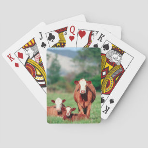 Jeu De Cartes Brown de Hereford