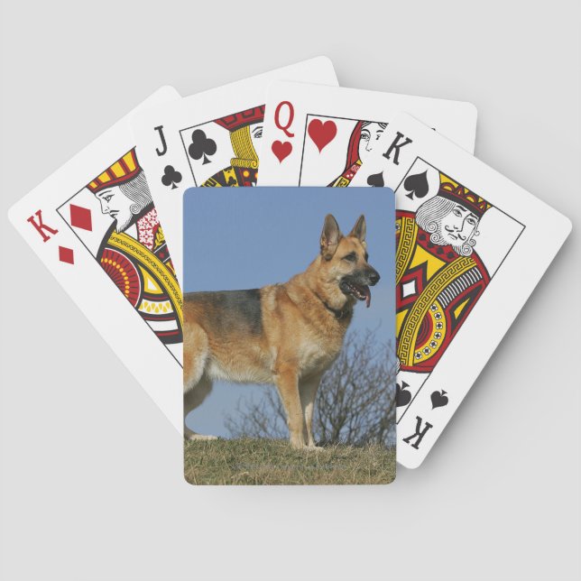 Jeu De Cartes Brown Long Haired German Shepherd 2 (dos)