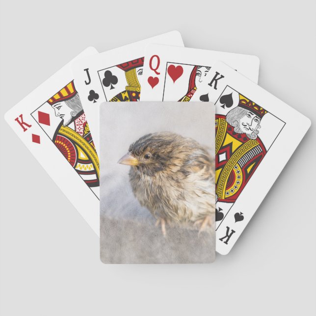 Jeu De Cartes Bruant - Météo Prévision Épique Échec (dos)