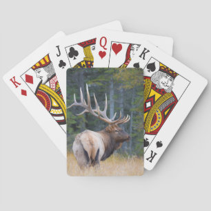 Jeu De Cartes Bull