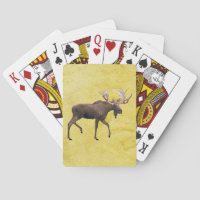 Bull Moose