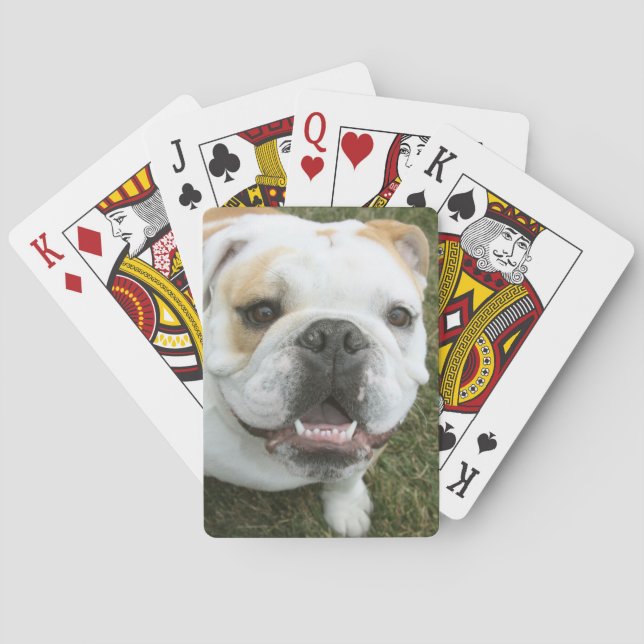 Jeu De Cartes bulldog anglais jouant aux cartes (dos)