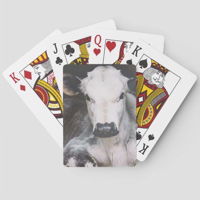 Jeu De Cartes Busy day (dos)