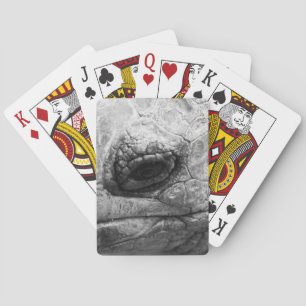 Jeu De Cartes BW Tortoise