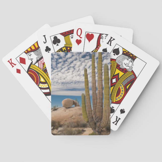 Jeu De Cartes Cactus (dos)