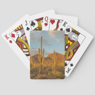 Jeu De Cartes Cactus saguaro au coucher du soleil, Arizona